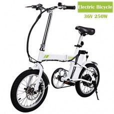 16’’ Unisex Folding Electric Bicycle with Lithium Battery  Outdoor E-Bike with Collapsible Frame and Handlebar Display (36V 250W) - B078W546HG